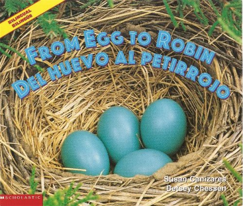 Stock image for From Egg to Robin / Del Huevo Al Petirrojo - Bilingual Book for sale by HPB-Diamond