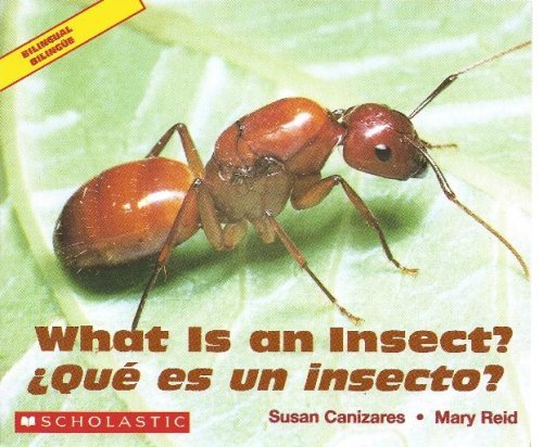 Stock image for What is an Insect? / Que es un insecto? - Bilingual Book for sale by ThriftBooks-Atlanta
