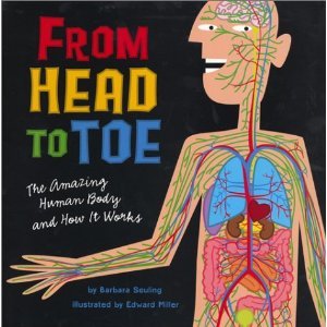 Imagen de archivo de From Head to Toe: The Amazing Human Body and How It Works a la venta por Gulf Coast Books