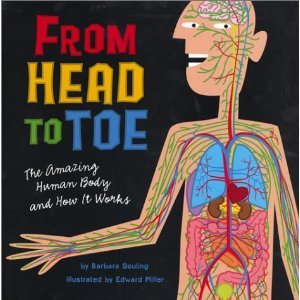 9780439570664: From Head to Toe: The Amazing Human Body and How It Works