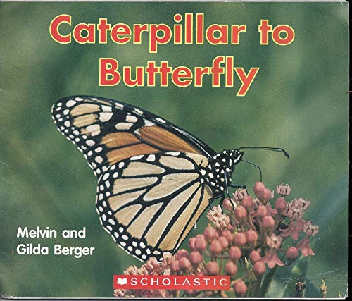 Stock image for Caterpillar to Butterfly (Scholastic Readers) for sale by Gulf Coast Books