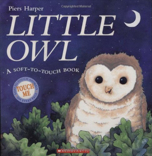Imagen de archivo de Little Owl a la venta por Gulf Coast Books