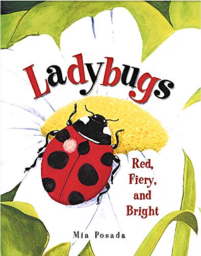 9780439664721: Ladybugs: Red, Fiery, and Bright