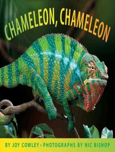 Stock image for Chameleon, Chameleon for sale by Orion Tech