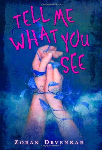 Beispielbild fr Tell Me What You See zum Verkauf von Idaho Youth Ranch Books