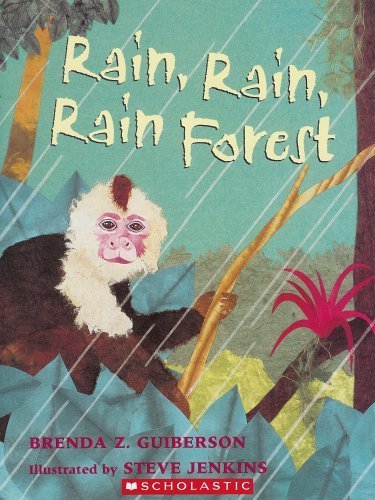 9780439774697: Rain, Rain, Rain Forest