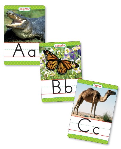 9780439786041: Animals from A to Z Alphabet Set: Manuscript: 26  Ready-to-display Letter Cards With Fabulous Photos of Animals: Grades K-3:  0439786045 - AbeBooks