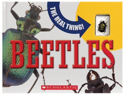 Beispielbild fr The Real Thing! Beetles zum Verkauf von Wonder Book
