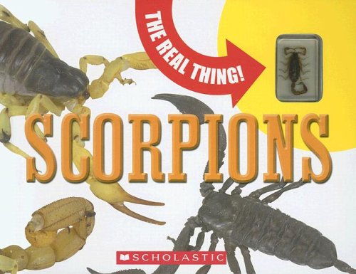 Stock image for Scorpions (Real Thing) for sale by Wonder Book