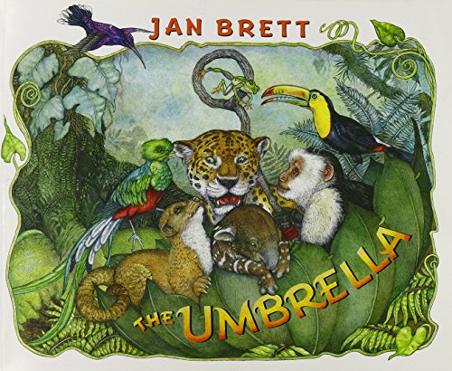 Imagen de archivo de The Umbrella a la venta por Your Online Bookstore