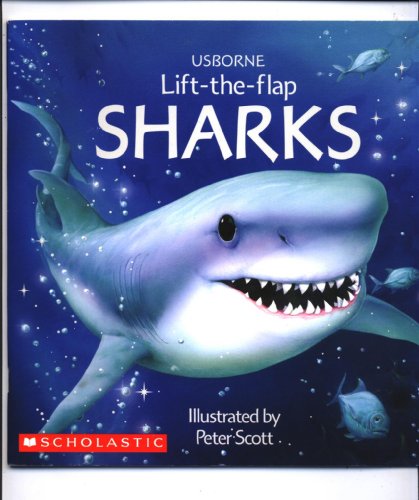 9780439863582: Usborne Lift-the Flap Sharks