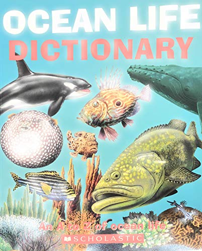 9780439873413: Ocean Life Dictionary, An A to Z of Ocean Life