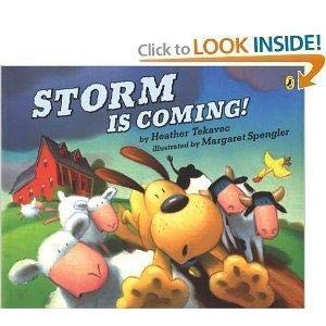 9780439875677: Storm Is Coming!