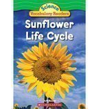 9780439876544: Sunflower Life Cycle