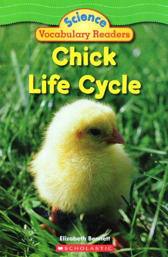 Stock image for Chick Life Cycle for sale by Your Online Bookstore