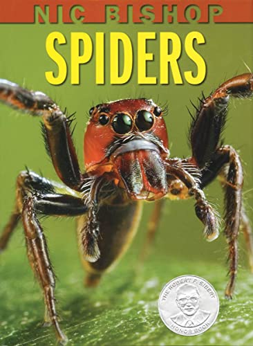 Beispielbild fr Nic Bishop Spiders (Sibert Honor Book) zum Verkauf von Wonder Book