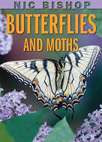 Stock image for Nic Bishop: Butterflies and Moths for sale by Orion Tech