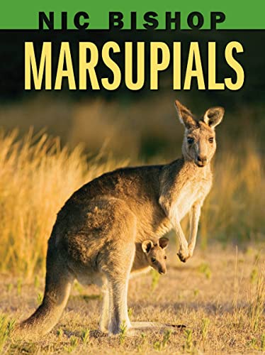 Beispielbild fr Nic Bishop: Marsupials zum Verkauf von Better World Books