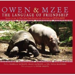 Beispielbild fr Owen & Mzee: The Language of Friendship zum Verkauf von HPB-Emerald
