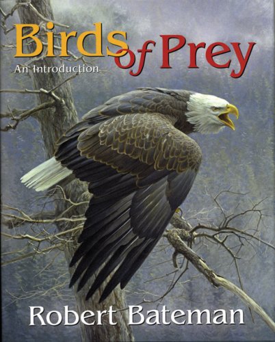 Stock image for Birds of Prey: An Introduction for sale by Russell Books