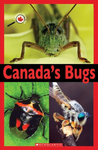 Stock image for Canada Close Up: Canada's Bugs for sale by ThriftBooks-Atlanta