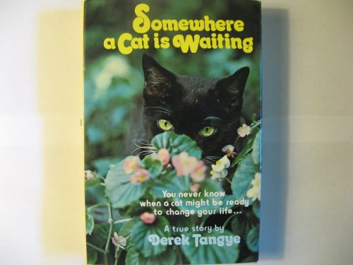 Imagen de archivo de Somewhere a Cat is Waiting a la venta por ThriftBooks-Atlanta