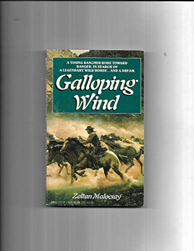 Galloping Wind