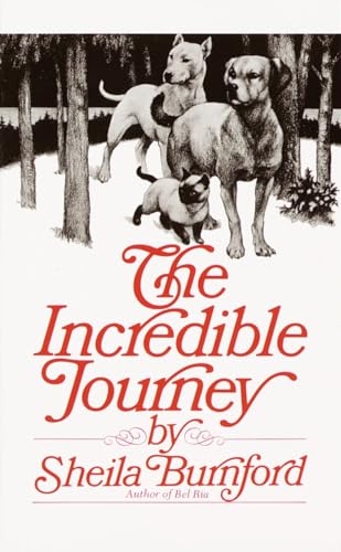 Beispielbild fr The Incredible Journey zum Verkauf von Wonder Book