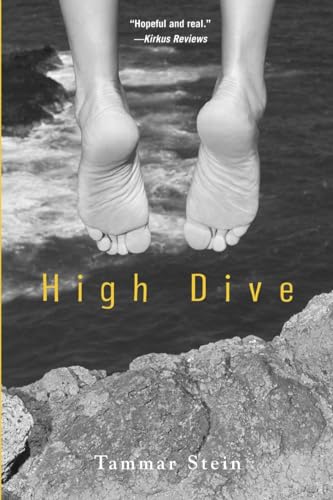 Stock image for High Dive for sale by More Than Words