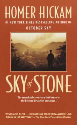 9780440334477: Sky of Stone