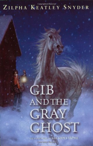 Stock image for Gib and the Gray Ghost for sale by SecondSale