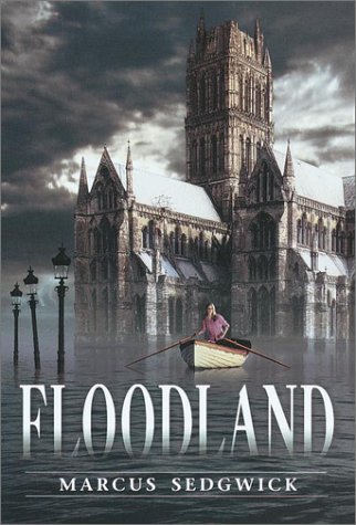 Beispielbild fr Floodland zum Verkauf von Wonder Book