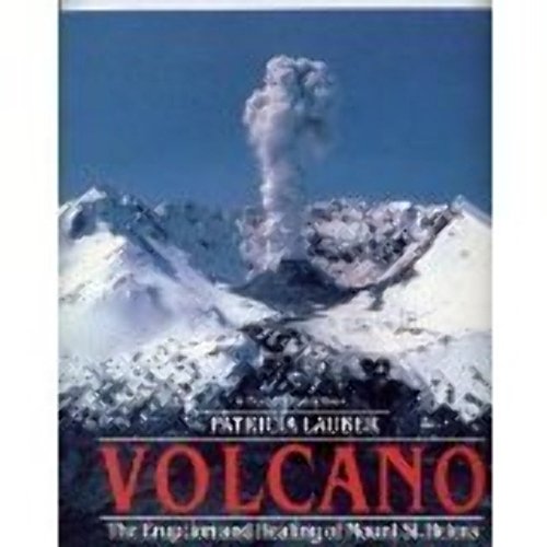 Stock image for Volcano for sale by ALEXANDER POPE