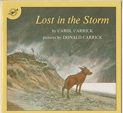 Beispielbild fr Lost in the Storm zum Verkauf von Better World Books