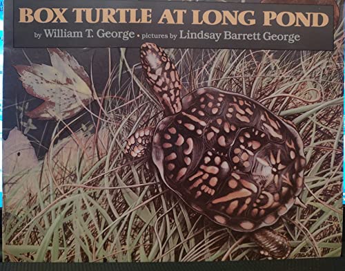 Beispielbild fr Box Turtle at Long Pond zum Verkauf von Alf Books