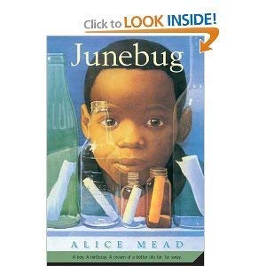 Beispielbild fr Junebug zum Verkauf von Wonder Book