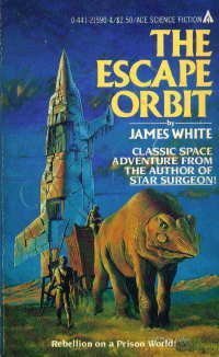 Beispielbild fr Escape Orbit zum Verkauf von Wonder Book