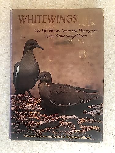 Stock image for Whitewings: The Life History, Status and Manageme for sale by N. Fagin Books