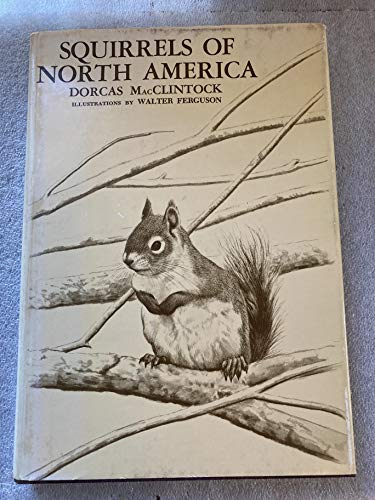 Stock image for Squirrels of North America for sale by WorldofBooks