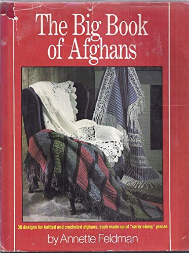 Imagen de archivo de The Big Book of Afghans a la venta por Better World Books