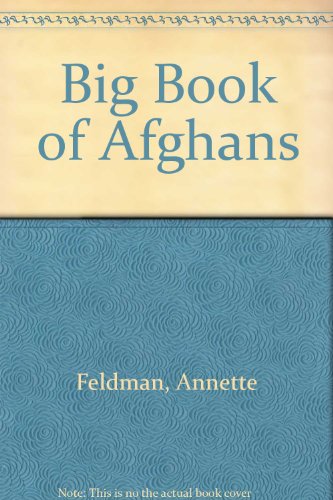 Imagen de archivo de The Big Book of Afghans a la venta por Wonder Book