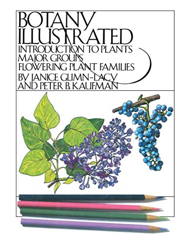 Botany Illustrated: Introduction to Plants Major Groups Flowering Plant Families