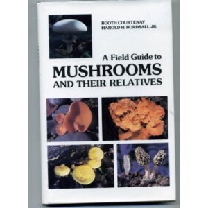 Beispielbild fr A Field Guide to Mushrooms and Their Relatives zum Verkauf von Michael Knight, Bookseller