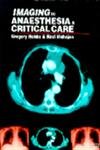 Imaging in Anaesthesia amp; Critical Care