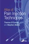 Beispielbild fr Atlas of Pain Injection Techniques zum Verkauf von Books From California