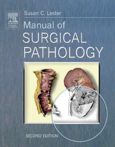 Stock image for Manual of Surgical Pathology for sale by HPB-Red
