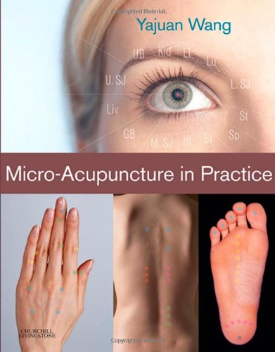 Beispielbild fr Micro-Acupuncture in Practice zum Verkauf von BooksRun