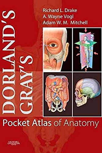 Stock image for Dorlands/Grays Pocket Atlas of Anatomy (Dorlands Medical Dictionary) for sale by Goodwill Books