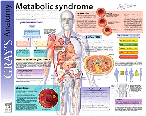 9780443067761: Metabolic Syndrome (Gray's Anatomy Poster Series)