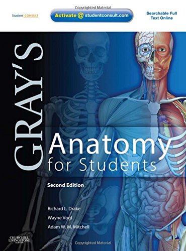 Stock image for Gray's Anatomy for Students 2e for sale by HPB-Red